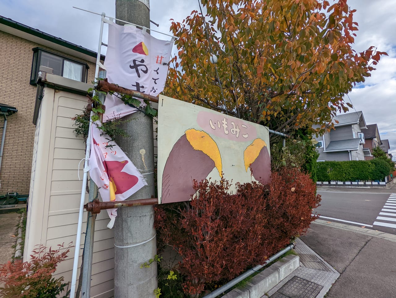 いもみこ