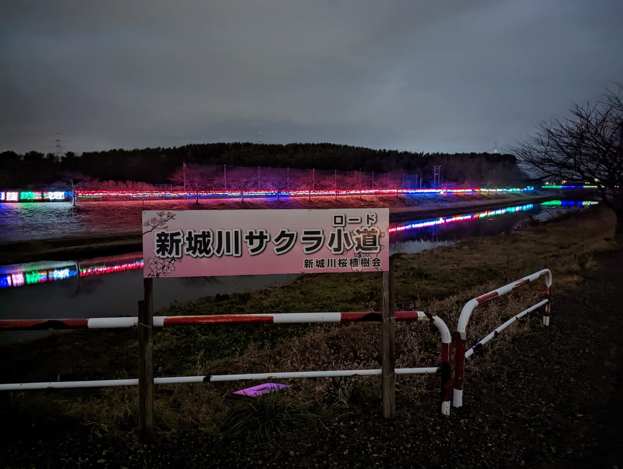 新城川イルミネーション